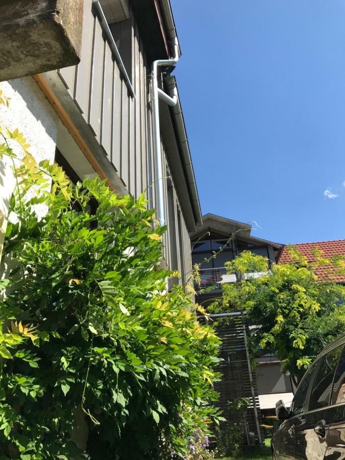 Blackbird'S Nest Wiesenbronn Экстерьер фото